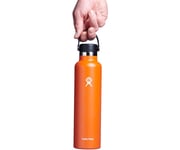 Hydro Flask Standard Mouth Bottle with Standard Flex Cap 709ml Mesa