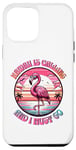iPhone 12 Pro Max Hawaii Is Calling And I Must Go Flamingo Summer Time Case