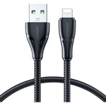iPhone USB - Câble Lightning 2,4A 0,25m noir