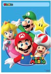 8 x Super Mario Birthday Party Loot Bags