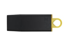 Kingston DataTraveler Exodia - USB flash-enhet - 128 GB