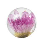 In Flore Solros Pappersvikt, Brevtyngd Rosa