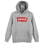 Levi's® Kids Boys Hoodie lys grå