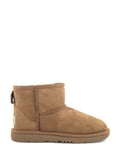 Brun Ugg / 35.5