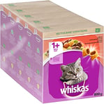 Whiskas Adult 1+ Croquettes au bœuf, 5 x 800 g (5 Paquets) – Nourriture sèche pour Chat Adulte – Différents emballages de Produits Disponibles