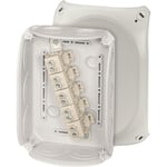 Hensel DK 1010 G Kopplingsdosa med plint, 10 mm 180 x 130 mm