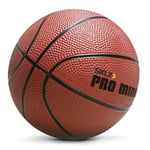 Sklz Pro Mini Hoop Basketball Bold 13cm