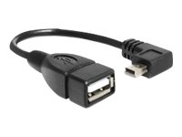 Delock - Usb-Kabel - Mini-Usb Typ B (Han) Till Usb (Hun) - Usb 2.0 Otg - 16 Cm