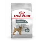 Royal Canin Mini Dental Care Adult Dog Food Small Breed - Reduces Tartar - 3kg