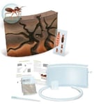 DIY ANT FARM Ant Nation Build Your Own Colony Kids Educational Toy Outdoor Play