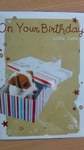 Birthday card. Jack Russell cute in gift box. Selective Code 50. 13.5 X 20 cm