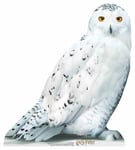 Hedwig Official Harry Potter Cardboard Cutout / Standup / Standee owl