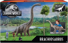 Jurassic World Super Colossal Brachiosaurus XL 34 inches long Official Dinosaur