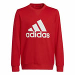Sweaters uden Hætte til Børn Adidas Essentials Rød 15-16 år