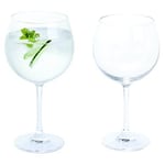 Copa Gin And Tonic Cocktail Glass G & T Balloon Glasses Gifts Set Pack 2x 650ml