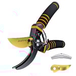 JiveSnip Ciseaux de Jardin en Titane Premium - Cisailles de Taille Bypass Professionnelles pour Plantes, Haies et Fleurs (Comprend ciseaux + lame)