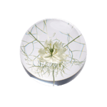 In Flore Flor Pappersvikt Vit