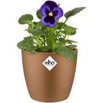 Bac à fleurs rond jardinière Pêche Bleu Or en plastique pour extérieur jardin terrasse pot de fleurs Or velours / 0.8 Litres - Elho