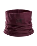 Arc’teryx Rho Ltw Neck Gaiter