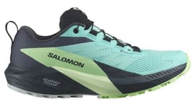 Chaussures de trail femme salomon sense ride 5 gore tex bleu vert