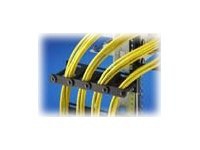 Rittal DK Cable Routing Bar - Kabelhållarsats för rack - 4U - 19