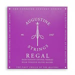 Augustine 650537 Regals Blue Label Jeu de Cordes pour Guitare classique tension extra forte/forte