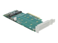 Delock Pci Express X8 Card To 2 X Internal Nvme M.2 Key M - Bifurcation - Kontrollerkort - M.2 - M.2 Nvme Card - Låg Profil - Pcie 4.0 X8