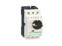 Schneider Electric Gv2p08, Dvärgbrytare, 690 V