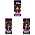 Schwarzkopf Kit Racines pour cheveux châtain R6, Coloration cheveux permanente enrichie d’une huile nourrissante, Retouche racines entre 2 colorations (Lot de 3)