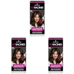 Schwarzkopf Kit Racines pour cheveux châtain R6, Coloration cheveux permanente enrichie d’une huile nourrissante, Retouche racines entre 2 colorations (Lot de 3)