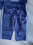 Baby Boys Adidas Tracksuit Age 12 Months Navy Blue Poly Superstar New Tags