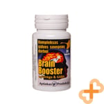 BRAIN BOOSTER Complex For Brain Work 30 Capsules Ginkgo Biloba Niacin Inulin