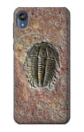 Trilobite Fossil Case Cover For Motorola Moto E6, Moto E (6th Gen)