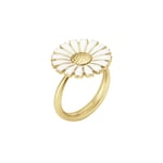 Daisy Vit Silver Ring Guld
