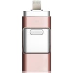 WIGONT Cle USB 256 Go pour économiser Plus de Photos et de Vidéos, La Clé  USB iPhone Utilise l'USB 3.0 pour des Transferts à Grande Vitesse,Cle USB  3.0 pour Port iPhone, Port