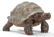 SCHLEICH - giant tortoise -  - SHL14824