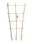 Nelson Garden Krukspaljé bambu, 60 cm