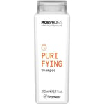 Framesi Kokoelma Morphosis Purifying Shampoo 250 ml