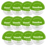 Vaseline Lip Therapy Aloe Vera Petroleum Jelly 20g x12
