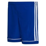 adidas Shorts Squadra 17 - Blå/Hvit Barn Fotballshorts male
