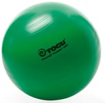 TOGU Power Premium Étui en ABS-Ballon d'exercice Vert Vert 65 cm
