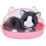 Zapf Creation BABY born® Min katt Cookie med låda
