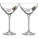 Kosta Boda All about you All for you coupe champagneglas 32cl 2-pack