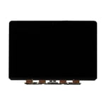 MacBook Pro 15 Retina (A1398 / 2015) LCD-skärm