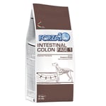 Forza 10 Active Line Intestinal Colon Phase 1 med fisk - 2 x 10 kg