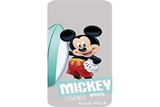 Interbaby Disney Housse Respirante Universelle pour Poussette Modele Sport Mickey 1 Unité