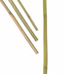 Bambukäpp Nelson Garden Växtstöd 200cm 3-p
