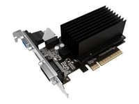 Palit GeForce GT 730 - Carte graphique - GF GT 730 - 2 Go DDR3 - PCIe 2.0 x8 - DVI, D-Sub, HDMI - san ventilateur