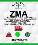 ZMA zinc, magnesium aspartate, and vitamin B6 ,365 TABLETS