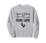 Special Delivery From Cupid Valentines Day Couples Pregnancy Sweatshirt